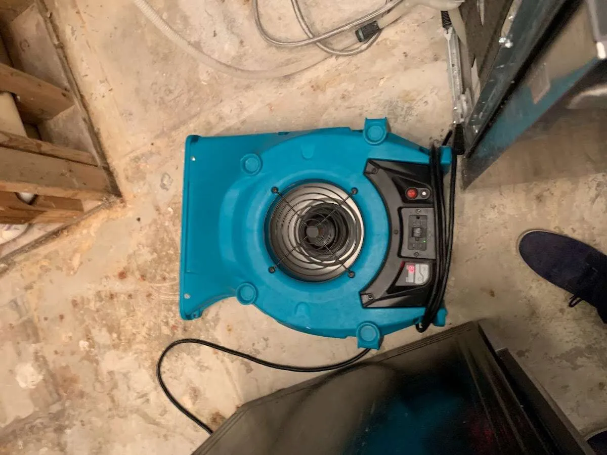 Air mover drying equipment for Mold Remediation & Removal in Farmingdale